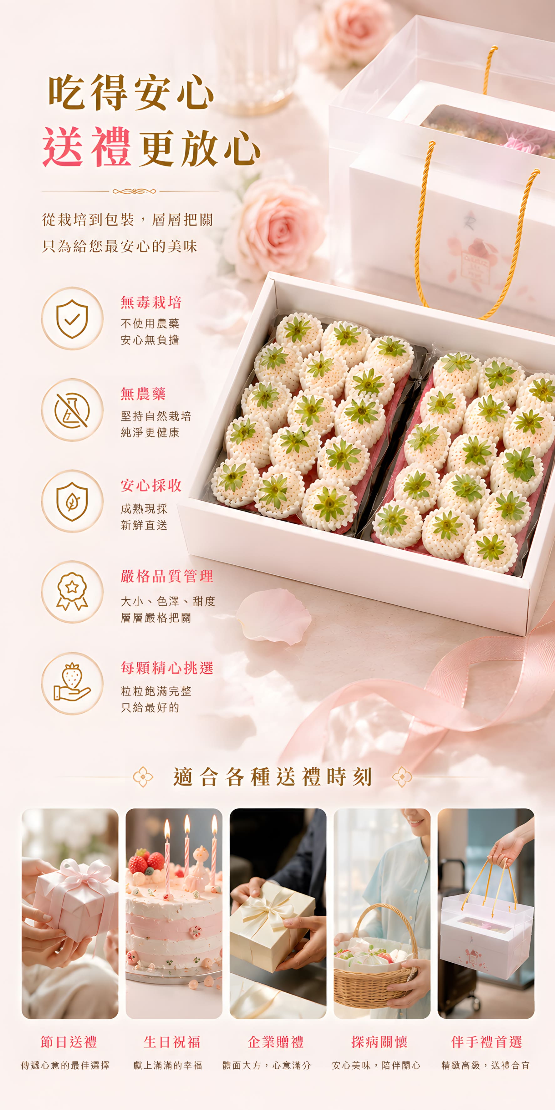 白草莓介紹4