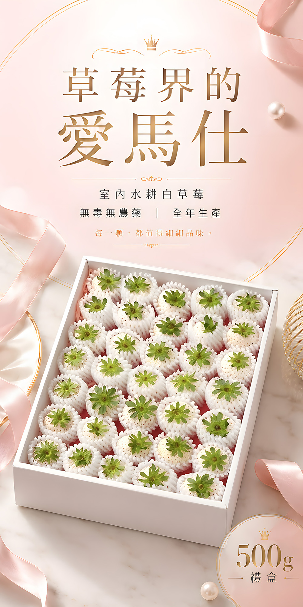 白草莓 500g 介紹 1